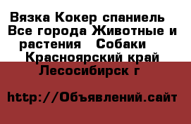 Вязка Кокер спаниель - Все города Животные и растения » Собаки   . Красноярский край,Лесосибирск г.